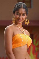 Actress Hot Pics